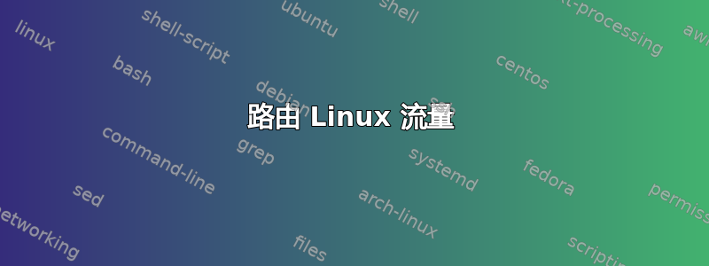 路由 Linux 流量