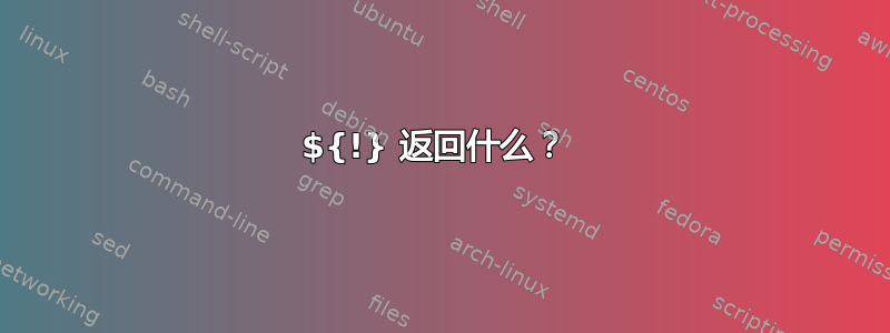 ${!} 返回什么？ 