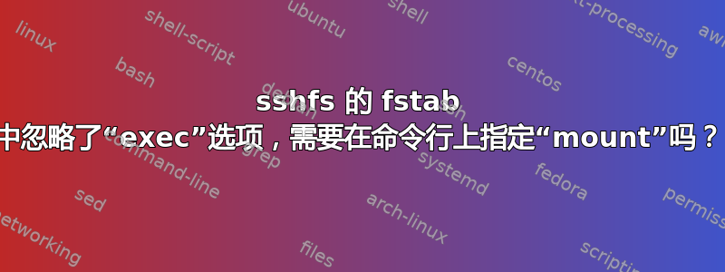 sshfs 的 fstab 中忽略了“exec”选项，需要在命令行上指定“mount”吗？