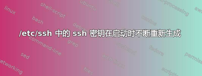 /etc/ssh 中的 ssh 密钥在启动时不断重新生成