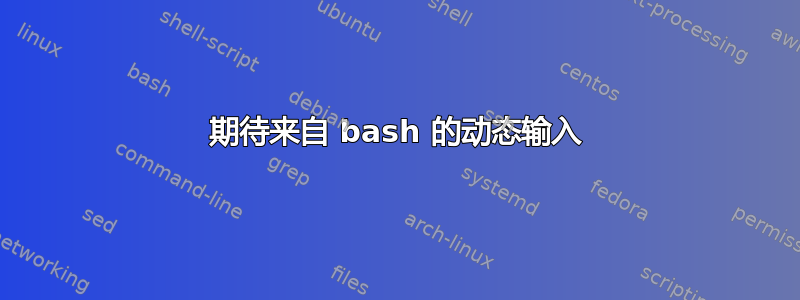 期待来自 bash 的动态输入