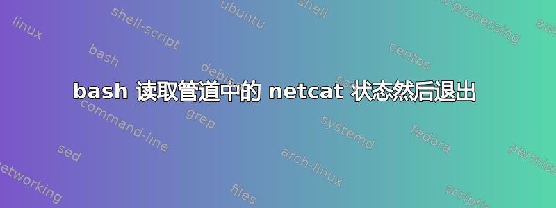 bash 读取管道中的 netcat 状态然后退出