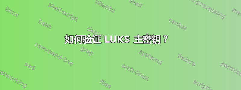 如何验证 LUKS 主密钥？ 