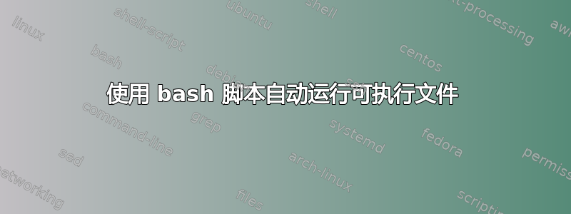 使用 bash 脚本自动运行可执行文件