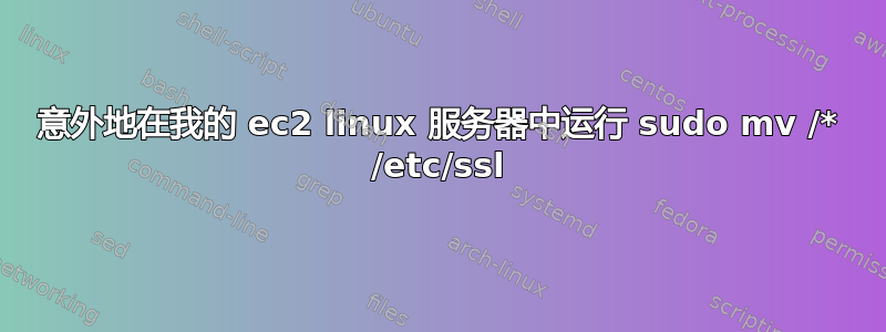 意外地在我的 ec2 linux 服务器中运行 sudo mv /* /etc/ssl