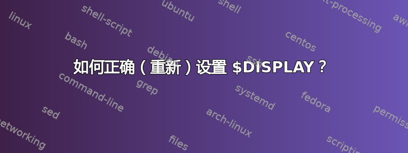 如何正确（重新）设置 $DISPLAY？