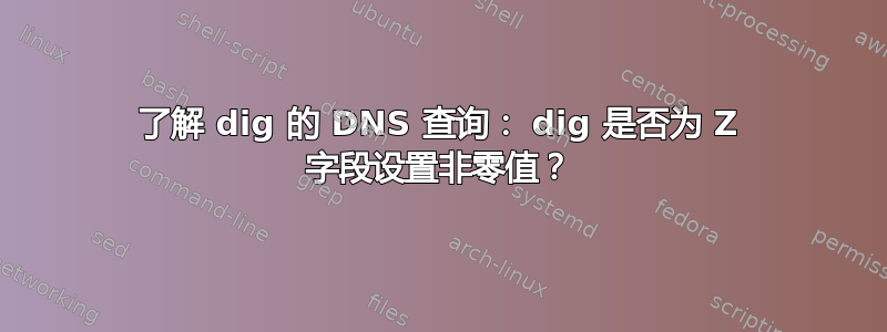 了解 dig 的 DNS 查询： dig 是否为 Z 字段设置非零值？