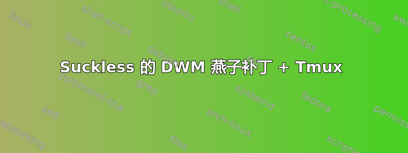 Suckless 的 DWM 燕子补丁 + Tmux