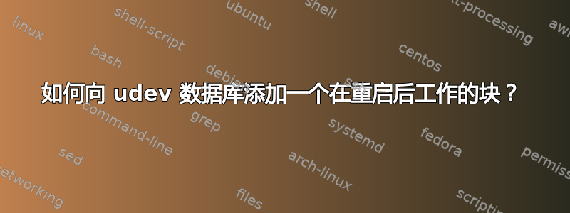 如何向 udev 数据库添加一个在重启后工作的块？