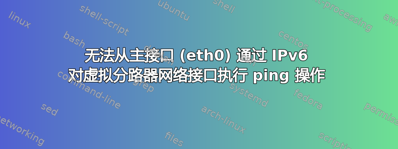 无法从主接口 (eth0) 通过 IPv6 对虚拟分路器网络接口执行 ping 操作