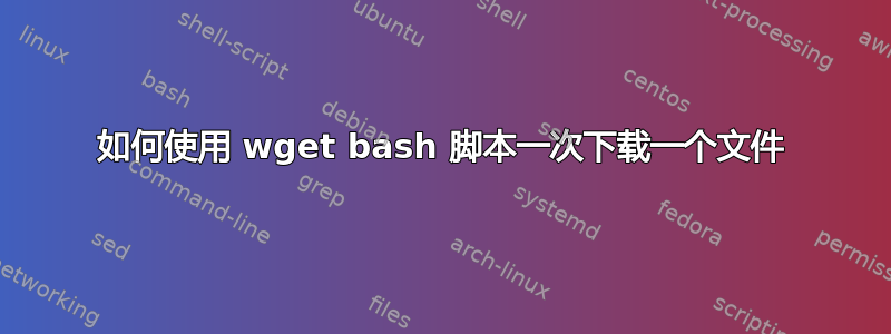 如何使用 wget bash 脚本一次下载一个文件