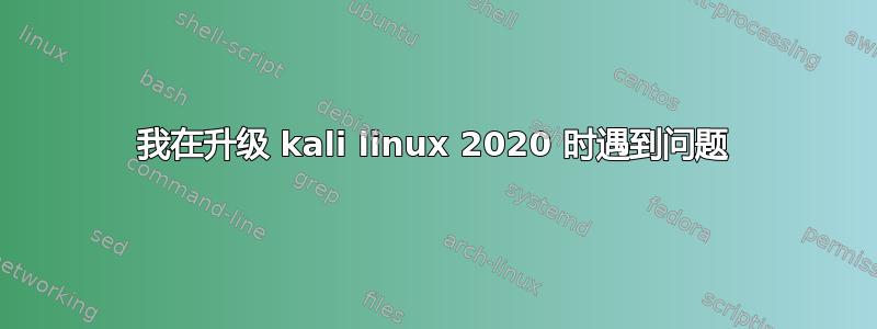 我在升级 kali linux 2020 时遇到问题