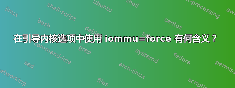 在引导内核选项中使用 iommu=force 有何含义？