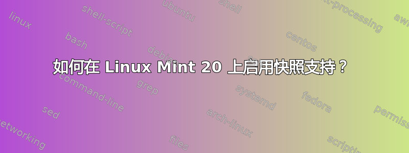 如何在 Linux Mint 20 上启用快照支持？