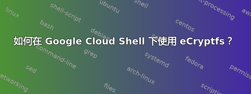 如何在 Google Cloud Shell 下使用 eCryptfs？