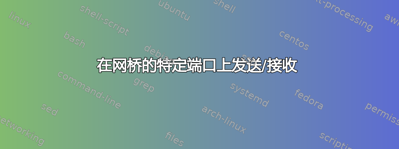 在网桥的特定端口上发送/接收