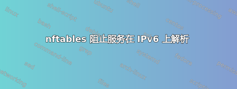 nftables 阻止服务在 IPv6 上解析