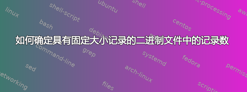 如何确定具有固定大小记录的二进制文件中的记录数