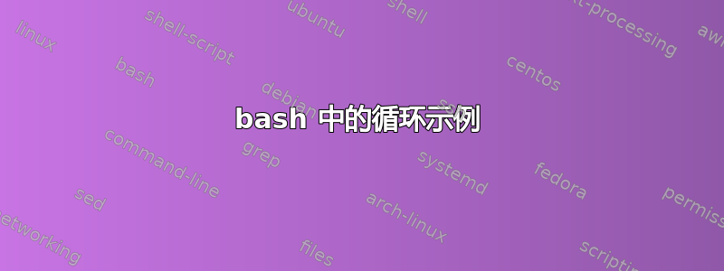 bash 中的循环示例