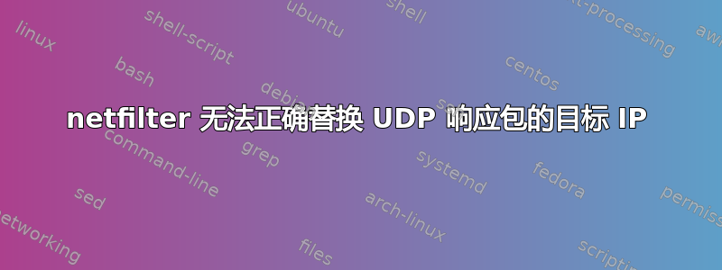 netfilter 无法正确替换 UDP 响应包的目标 IP