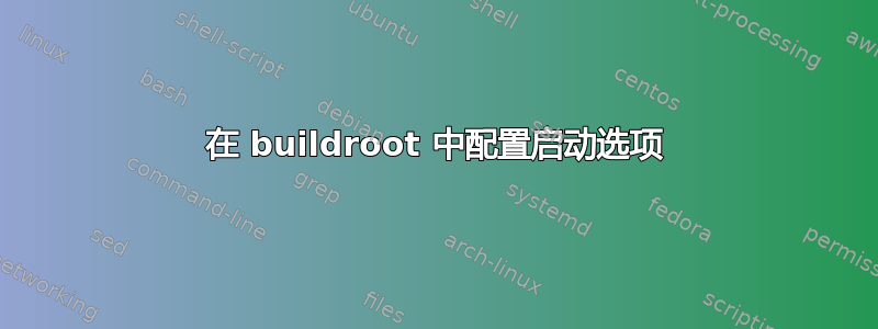 在 buildroot 中配置启动选项