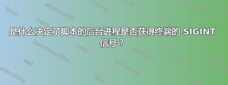 是什么决定了脚本的后台进程是否获得终端的 SIGINT 信号？