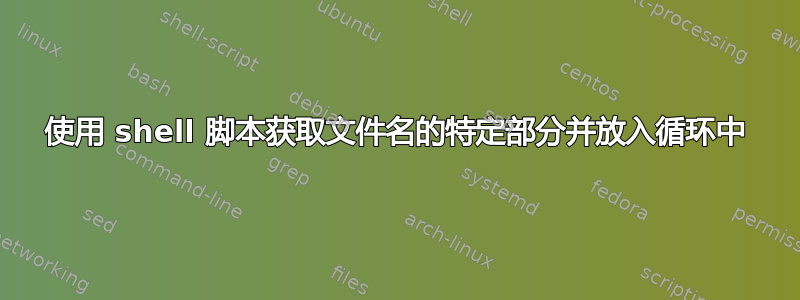 使用 shell 脚本获取文件名的特定部分并放入循环中