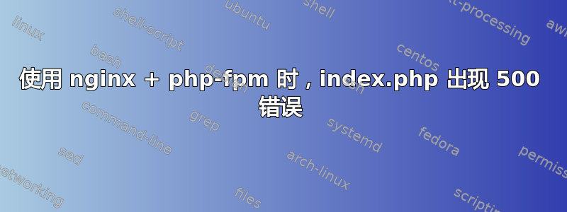 使用 nginx + php-fpm 时，index.php 出现 500 错误