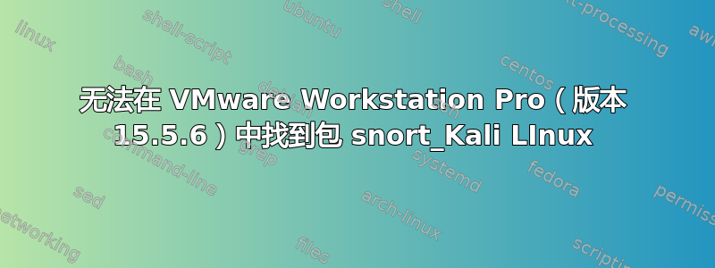 无法在 VMware Workstation Pro（版本 15.5.6）中找到包 snort_Kali LInux