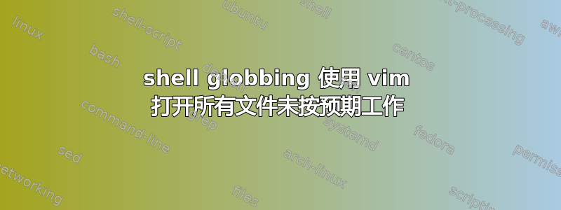 shell globbing 使用 vim 打开所有文件未按预期工作