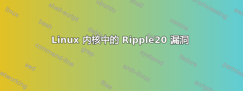 Linux 内核中的 Ripple20 漏洞