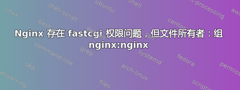 Nginx 存在 fastcgi 权限问题，但文件所有者：组 nginx:nginx