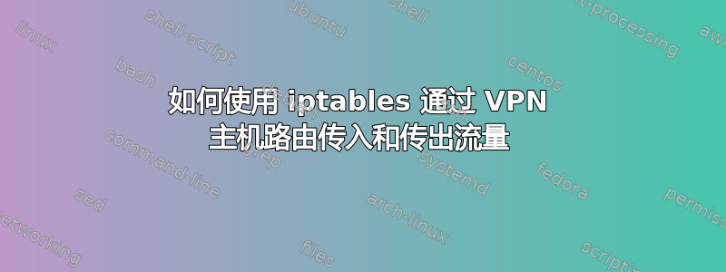 如何使用 iptables 通过 VPN 主机路由传入和传出流量