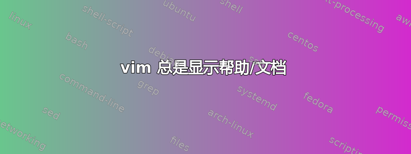 vim 总是显示帮助/文档