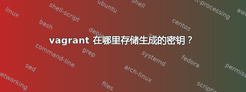 vagrant 在哪里存储生成的密钥？