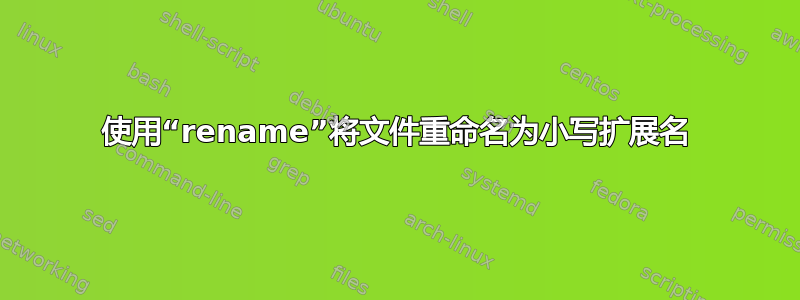 使用“rename”将文件重命名为小写扩展名