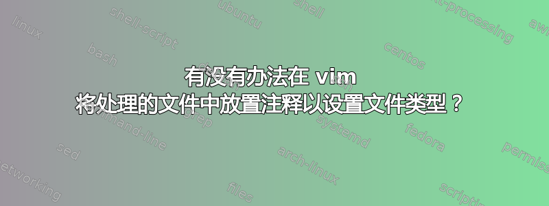 有没有办法在 vim 将处理的文件中放置注释以设置文件类型？