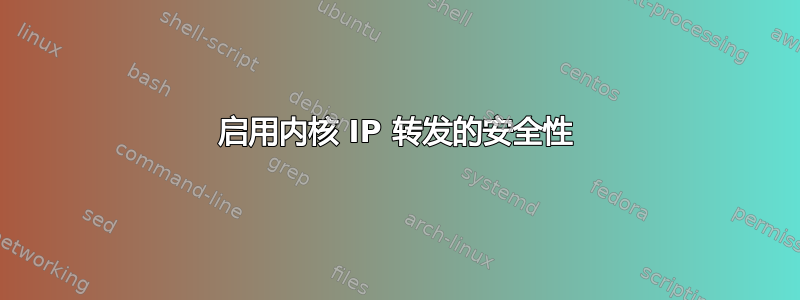 启用内核 IP 转发的安全性