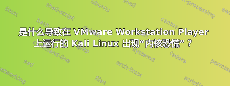 是什么导致在 VMware Workstation Player 上运行的 Kali Linux 出现“内核恐慌”？