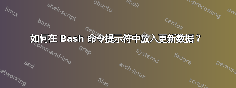 如何在 Bash 命令提示符中放入更新数据？