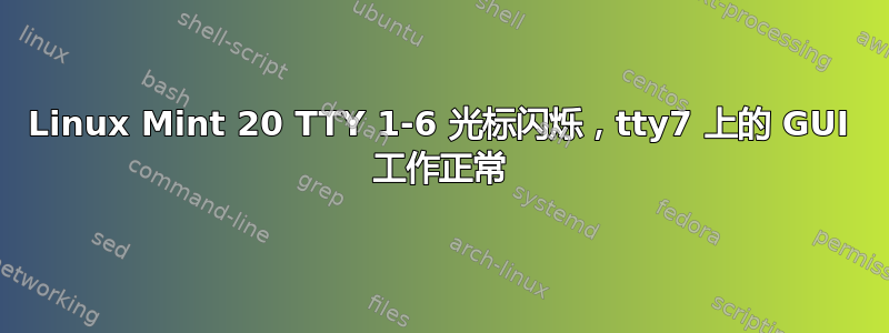 Linux Mint 20 TTY 1-6 光标闪烁，tty7 上的 GUI 工作正常