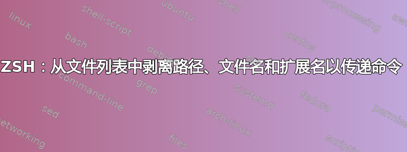 ZSH：从文件列表中剥离路径、文件名和扩展名以传递命令