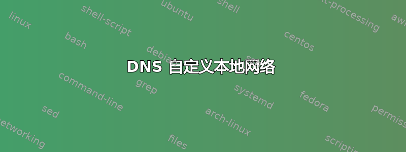 DNS 自定义本地网络