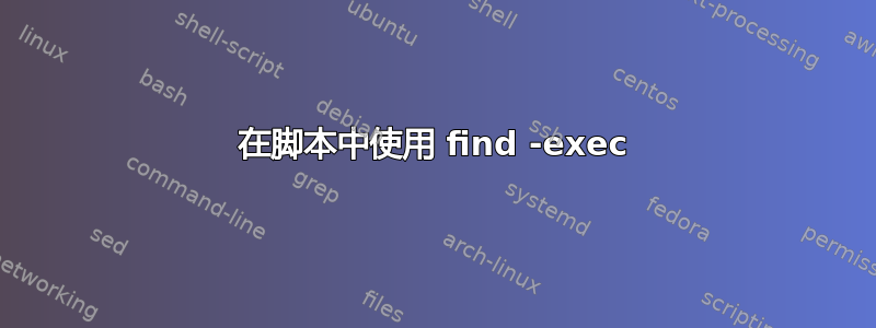 在脚本中使用 find -exec