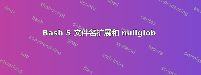 Bash 5 文件名扩展和 nullglob