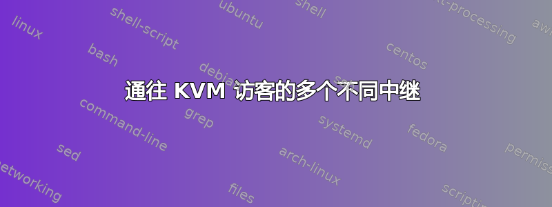 通往 KVM 访客的多个不同中继