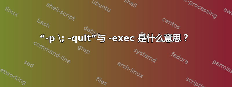 “-p \; -quit”与 -exec 是什么意思？