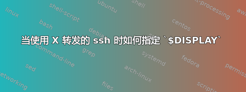 当使用 X 转发的 ssh 时如何指定 `$DISPLAY`