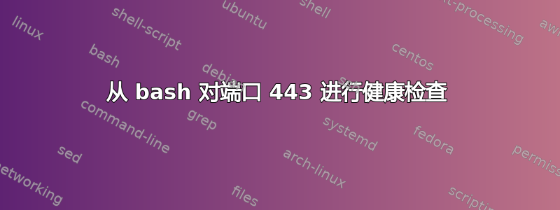 从 bash 对端口 443 进行健康检查