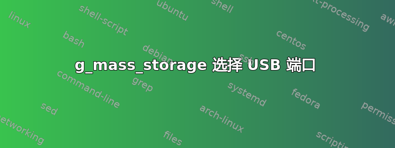 g_mass_storage 选择 USB 端口